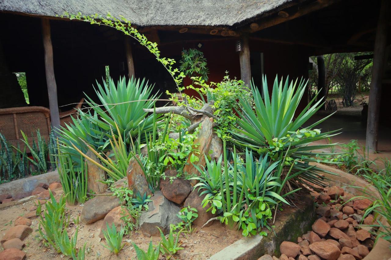 Munga Eco-Lodge ลิฟวิงสโตน ภายนอก รูปภาพ
