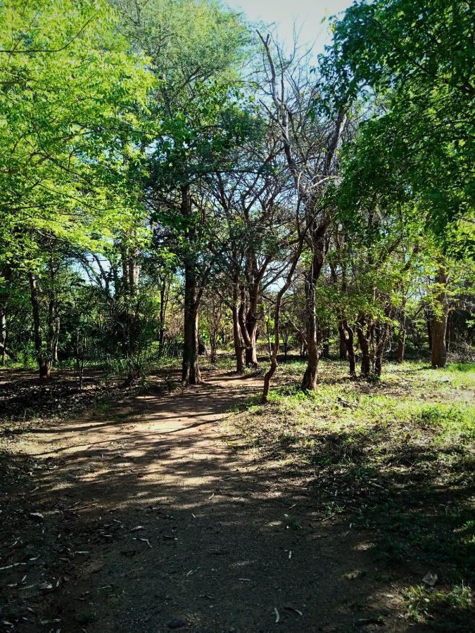 Munga Eco-Lodge ลิฟวิงสโตน ภายนอก รูปภาพ