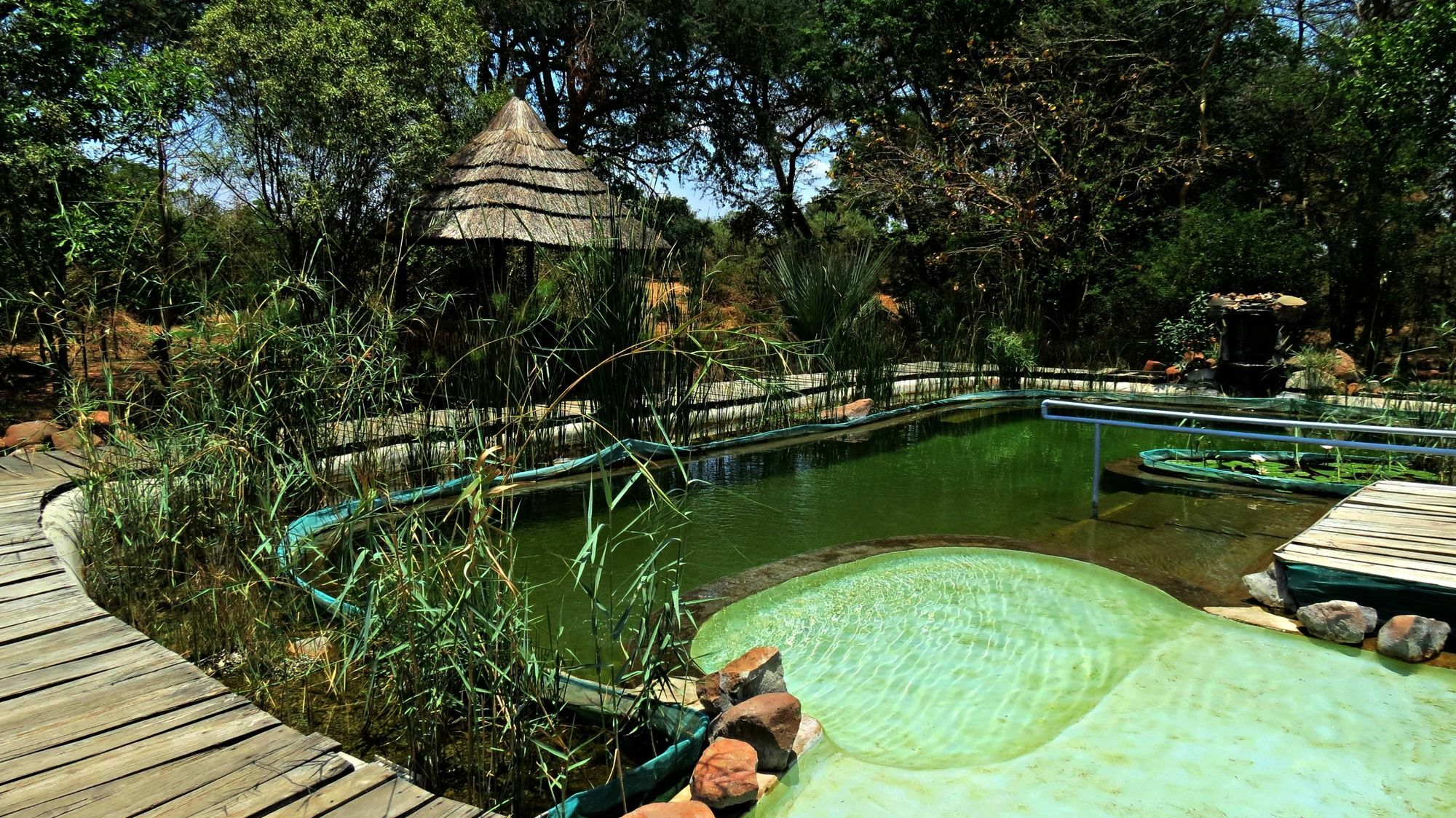 Munga Eco-Lodge ลิฟวิงสโตน ภายนอก รูปภาพ